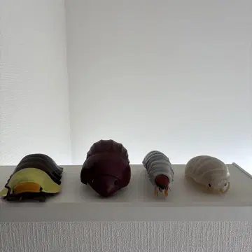 애벌레형 캡슐 토이
