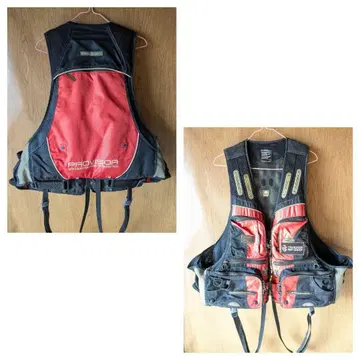 DAIWA / PROVISOR 베스트 LL