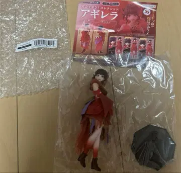 가면라이더 리바이스 HG GIRLS 아기레라 라인업 C