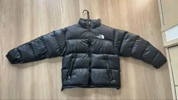 THE NORTH FACE 눕시 자켓