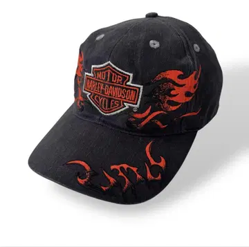 Harley-Davidson 프레임 캡