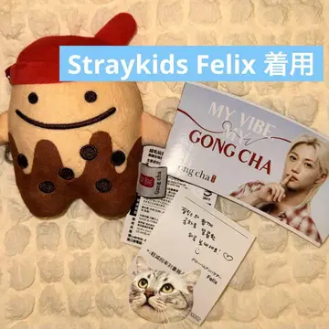 스키즈 Felix 착용 공차 백참 코쿠차