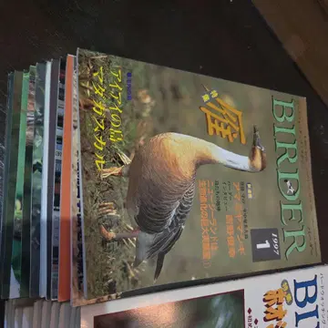 BIRDER 버드 워칭 잡지 1997-2000