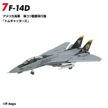 톰캣 메모리즈 F-14 미국 해군 톰캐터스