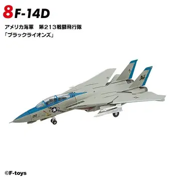 톰캣 메모리즈 F-14 미국 해군 블랙 라이온즈