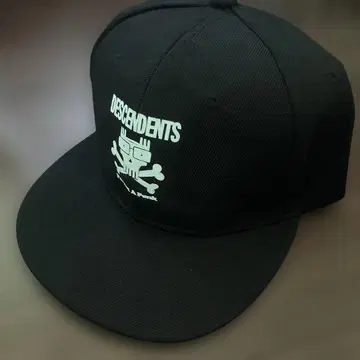 DESCENDENTS 블랙 야구 모자