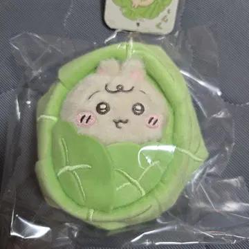치이카와 Chiikawa Baby 양배추에 싸인 토끼 마스코트
