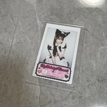 앳홈카페 쿠모리 퓨로랜드