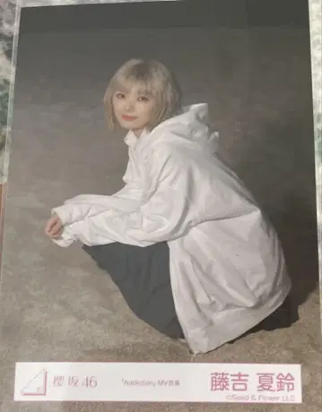 야마시타 시즈키, 후지요시 카린 8장 묶음 판매