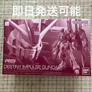 RG 1/144 데스티니 임펄스 건담