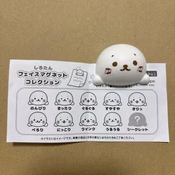 시로땅 페이스 마그넷 컬렉션 시크릿