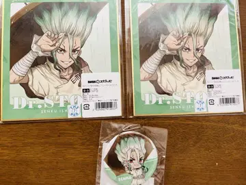 Dr.STONE 레이니데이 센쿠