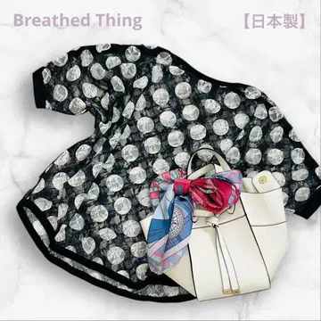 Breathed Thing 블라우스 시어 도트 일본제 돌먼 슬리브