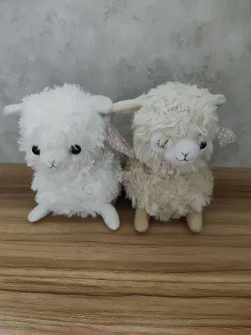 양 봉제 인형 2개 세트