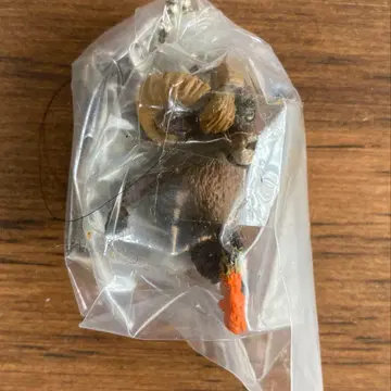 아사쿠마 토시오 원피스 상디 빅 혼