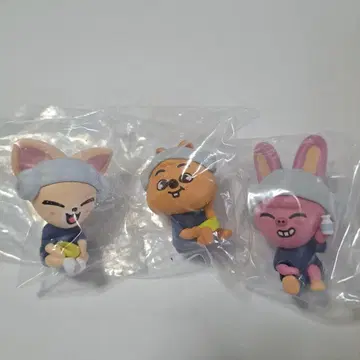 포포즈+돼끼