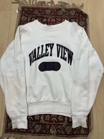 Champion VALLEY VIEW 트레이닝복 L