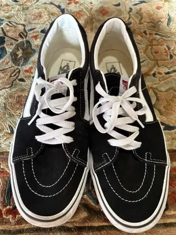 Vans 스케이트 로우 블랙