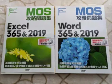 Excel & Word 365 & 2019 MOS 공략 문제집