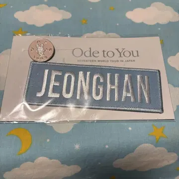 SEVENTEEN 정한 와펜 핀 배지