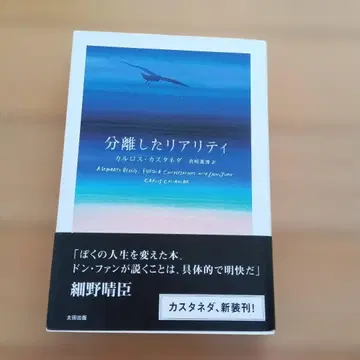 분리된 리얼리티