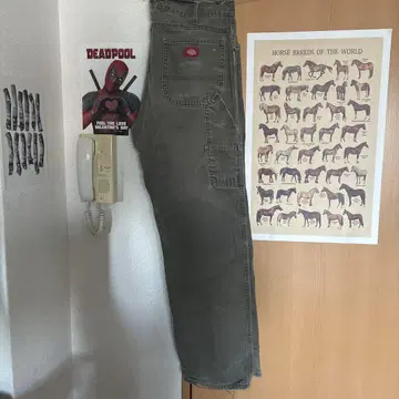 Dickies 카키 배기 덕 팬츠