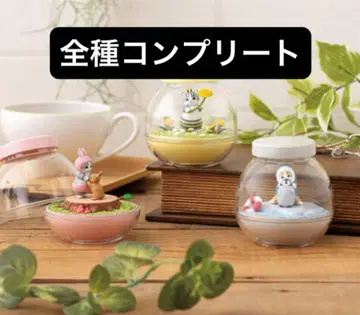 캡슐리움 모프 샌드 mofusand 전종 풀컴프