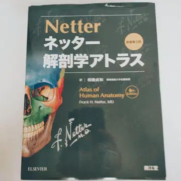 네터 해부학 아틀라스 원서 제6판 기입 없음