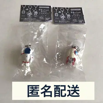우주의 동료 마크 액세서리 우주비행사(경례) 로켓(레드)