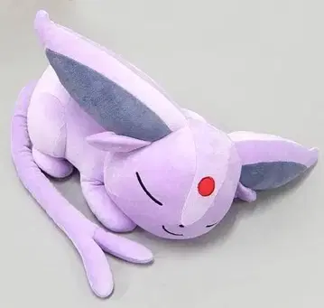 새근새근 에브이 포켓몬 봉제 인형 클리닝 완료