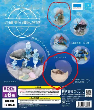 오키나와 추라우미 수족관 캡슐 토이 매너티, 푸른바다거북