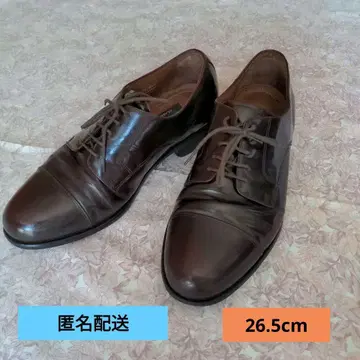 BOSTONIAN 다크 브라운 9 1/2M