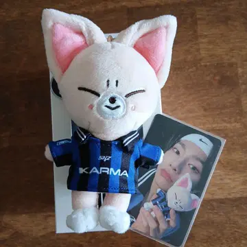 straykids KARMA skzoo ver 아이엔 폭시니