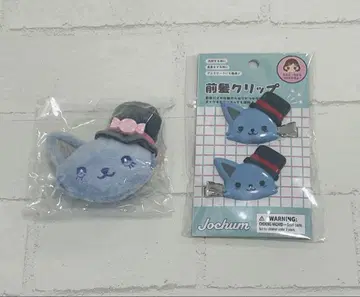 JOCHUM 레인