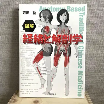 도해 경락과 해부학