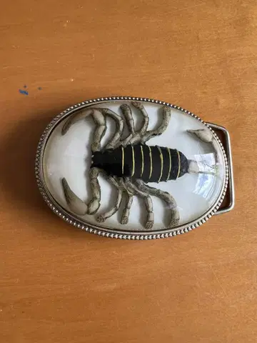 전갈 버클 스콜피온