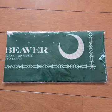 SUPER BEAVER 반다나 그린
