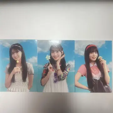 NOGI CAFE 트레이딩 카드 이치노세, 세토구치, 모리히라