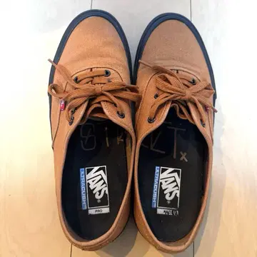 VANS - 'DAKOTA ROCHE' AUTHENTIC PRO