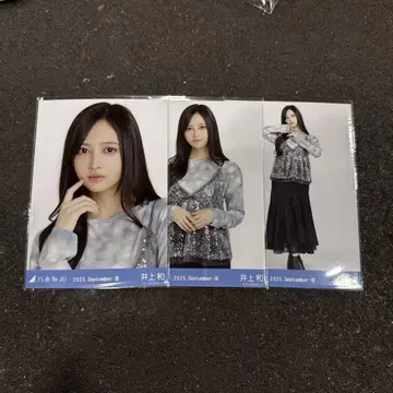 스팽글 이노우에 카즈 컴프
