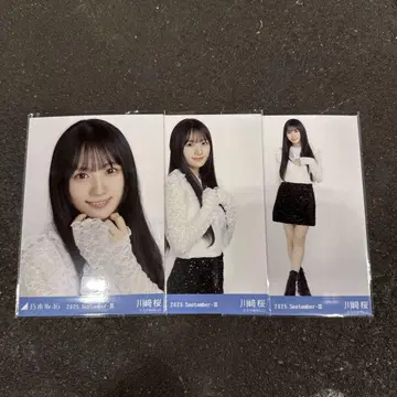 스팽글 카와사키 사쿠라 컴프