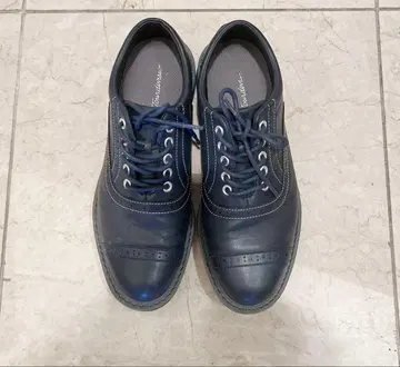 투어 디비전 네이비 골프화 24.5cm