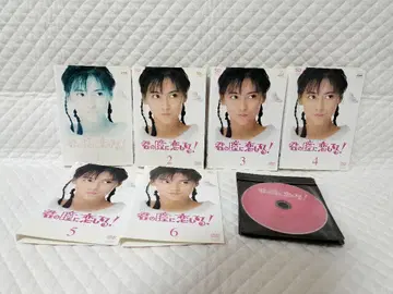 렌탈 DVD 너의 눈동자에 건배! 전 6권 / 나카야마 미호 (22)