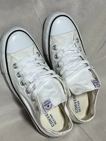CONVERSE 올스타 화이트