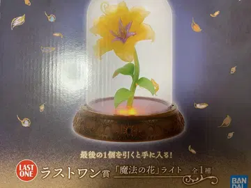 제일복권 디즈니 프린세스 마법의 꽃 라이트 라스트원상