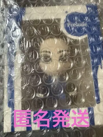 쿄모토 타이카 피규어