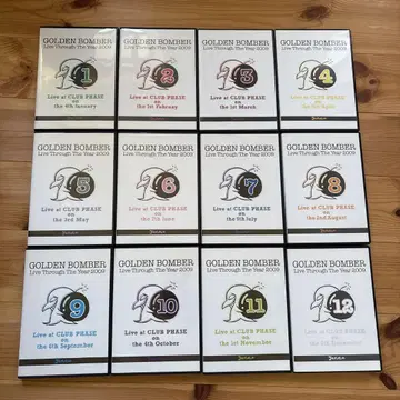 골든 폭격기 12개월 연속 원맨 DVD 12권 세트