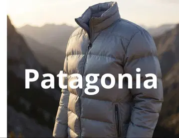 Patagonia 다운 자켓 M 사이즈 라이트 그레이 유행하는 숏 기장