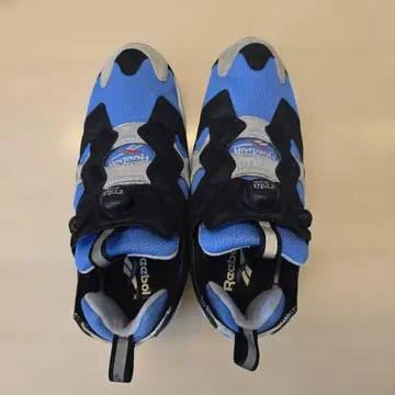 펌프 퓨리 색스