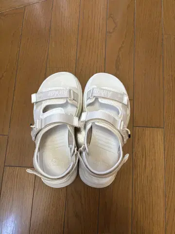Dr.Martens FORSTER UK4(23cm)